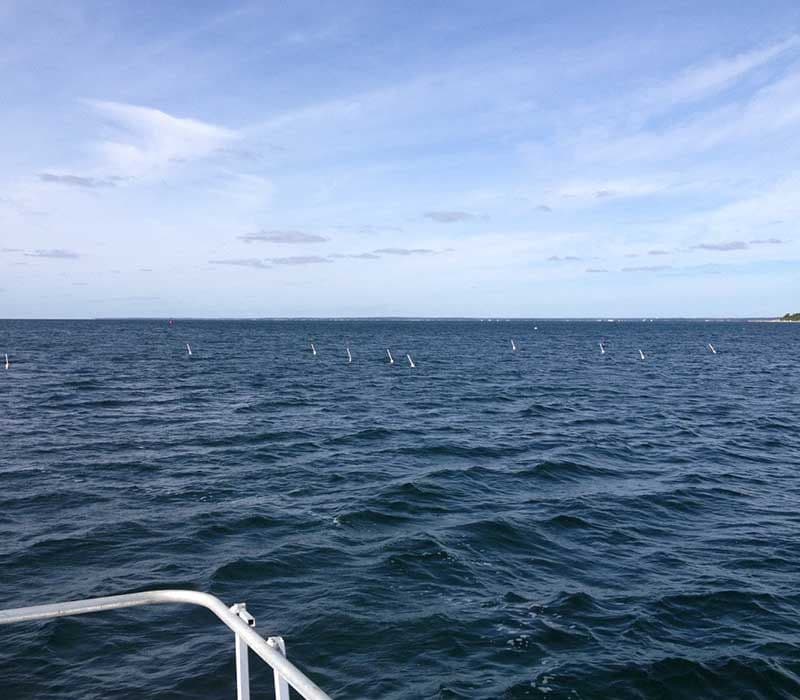 Open water at a grow site on Buzzards Bay